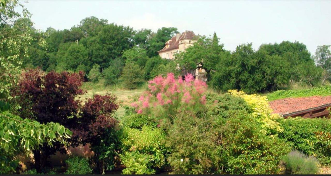 Château de Béduer&Vacation Homes Exterior foto